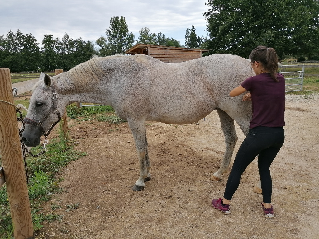 photo cabinet Manon Jollain 