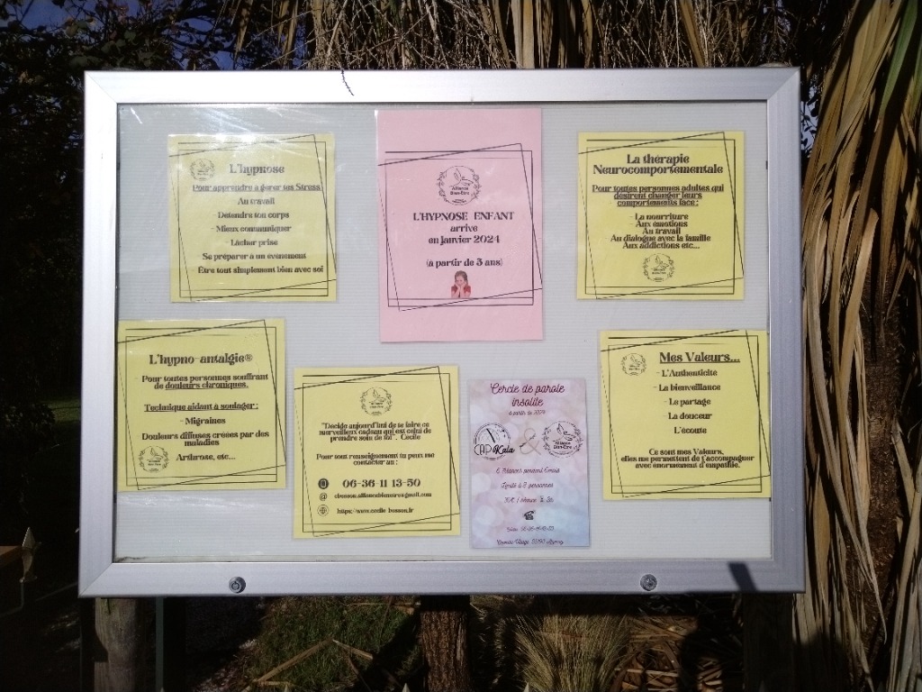 photo activite Cécile BESSON