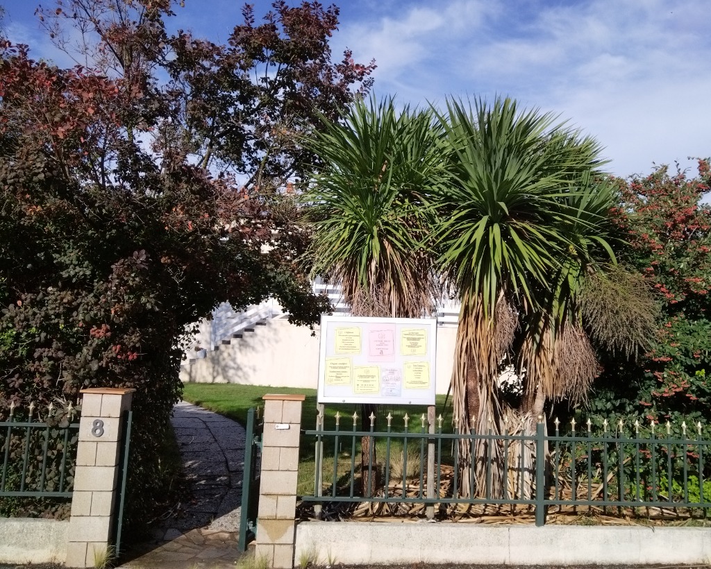 photo cabinet Cécile BESSON