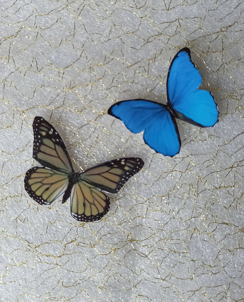 photo cabinet Jeanne EVANGELISTA