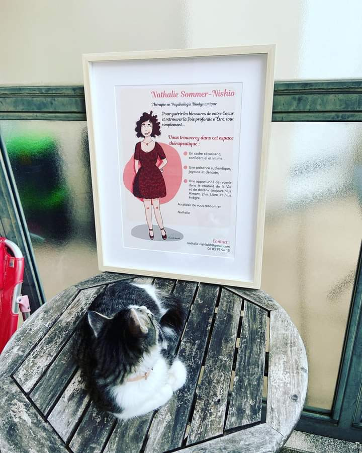 photo cabinet Nathalie SOMMER-NISHIO Psychologie Biodynamique