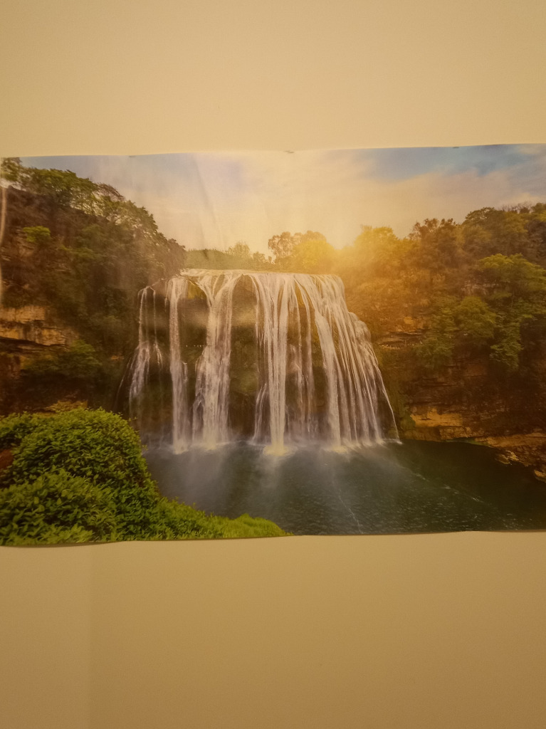 photo seance Mireille Leforestier