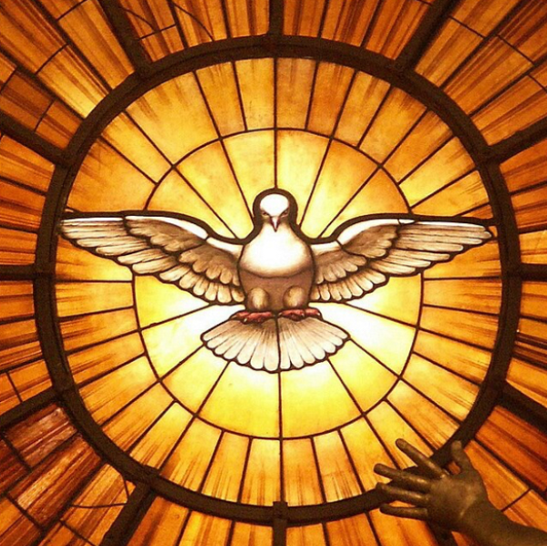 Guérisseur Julien Lecart