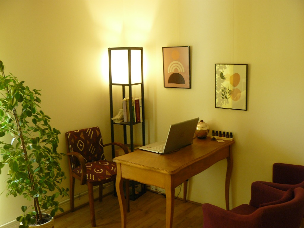 photo cabinet Camille Siavy