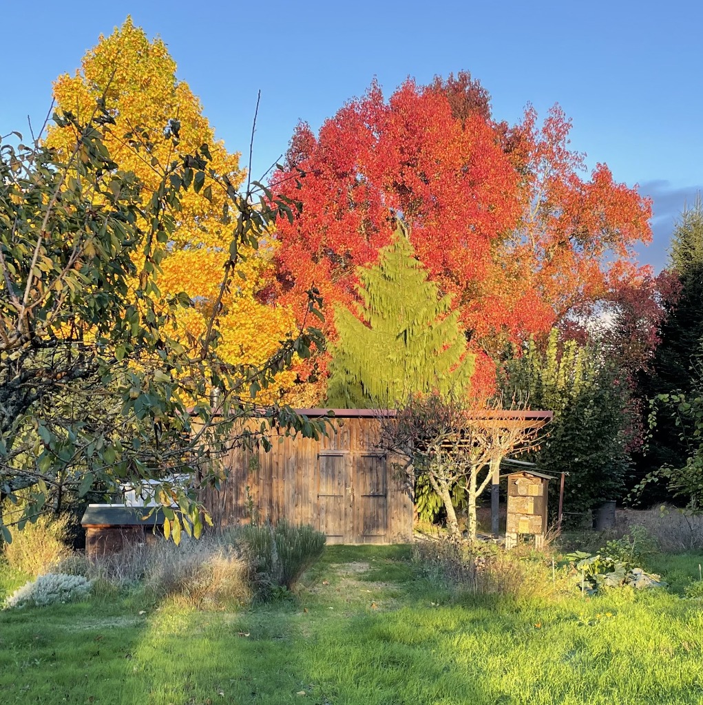 photo activite Lydie Chauvin
