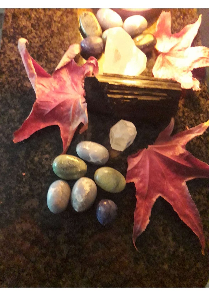 photo cabinet Anna Rita Bortolamasi 