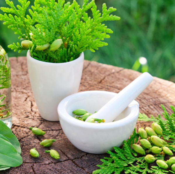 HAIFA GRACE BANGOURAH