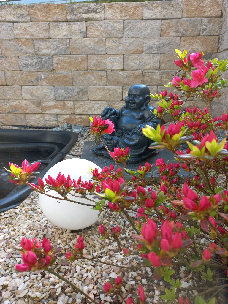 photo cabinet Sylvie DUCHENE - Cabinet de Shiatsu