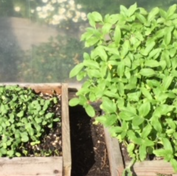 Naturopathie Finistère