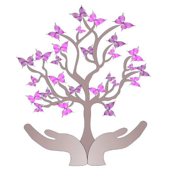 Petites Graines d’Harmonie