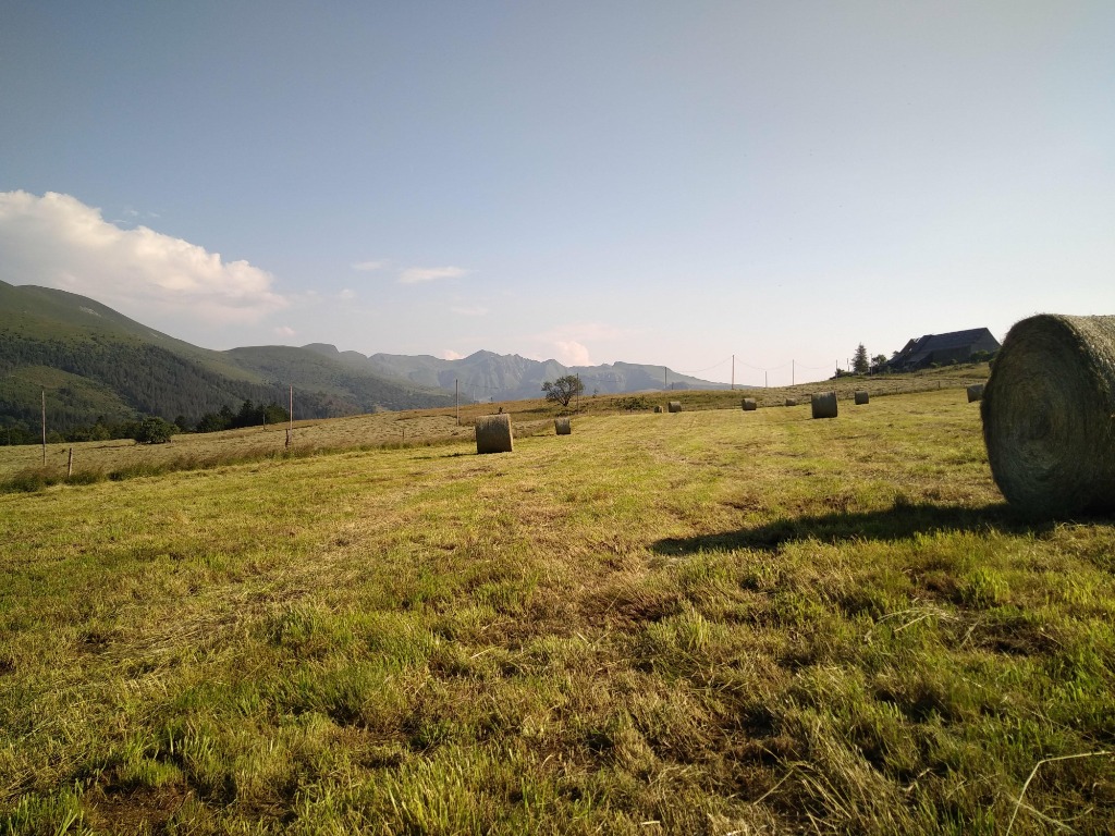 photo cabinet Emeline Leroy-merlet