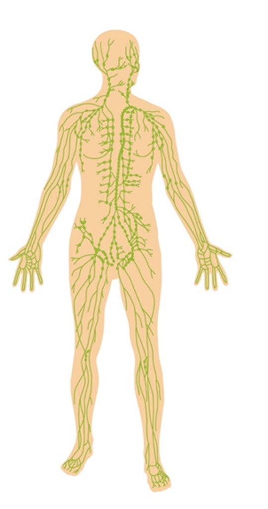 photo diplome Sandrine Dabiel Quest 