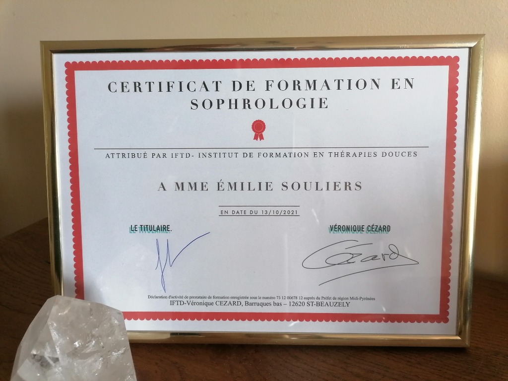 photo diplome Esprit et main tenant