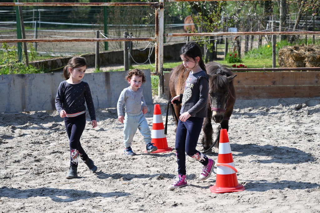 photo activite Julie Daltroff 