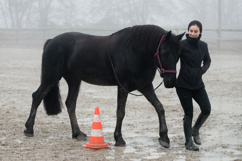 photo cabinet Julie Daltroff 
