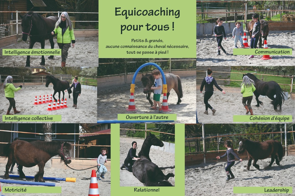 photo seance Julie Daltroff 