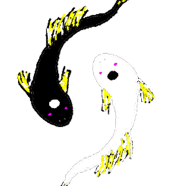 Les Petits Soins de Laure°Yann