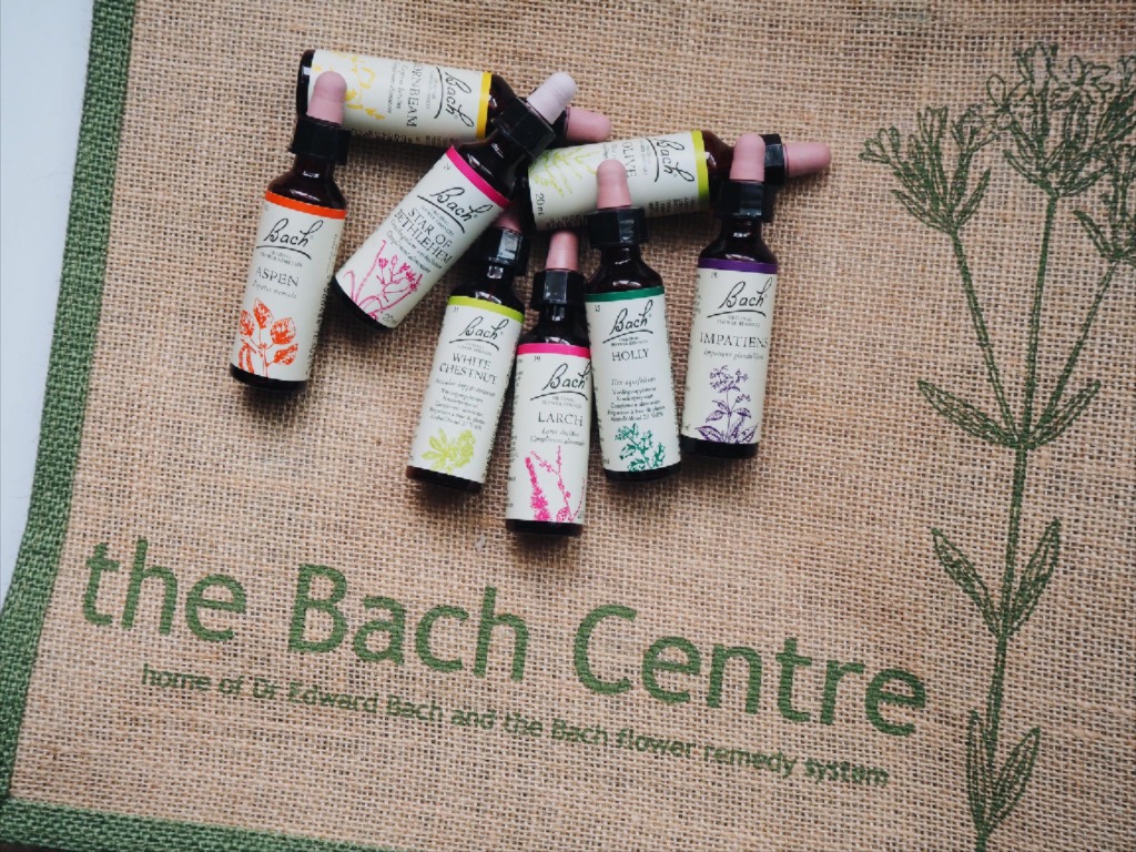 photo activite NATHALIE PLANCHOT