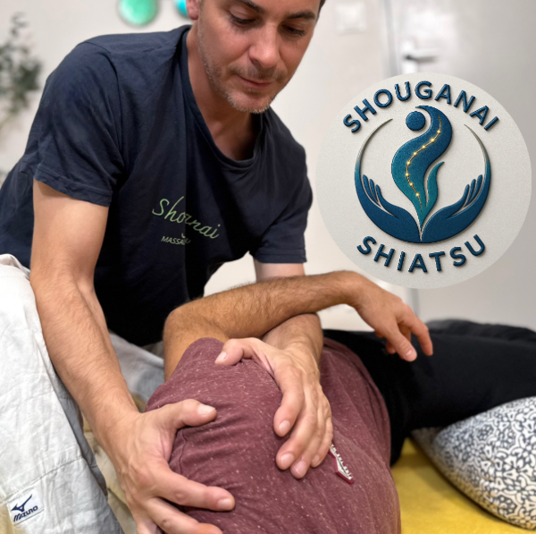 SHOUGANAI - Pierre Joliveau praticien shiatsu
