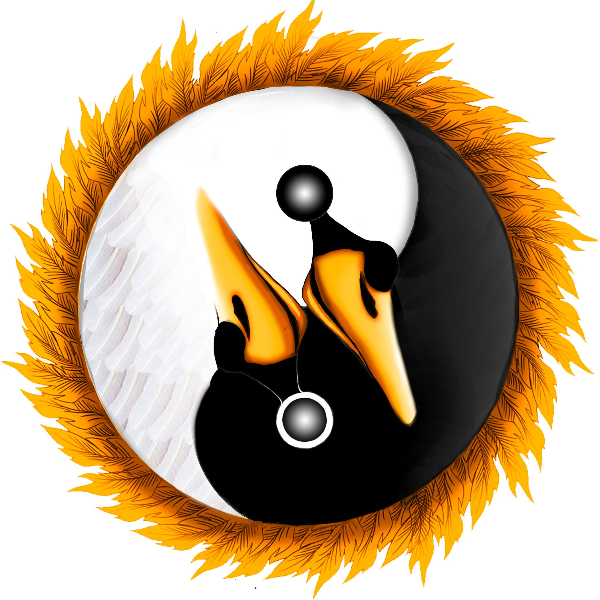 Frédérique Camus Kinésiologue Nord Isère