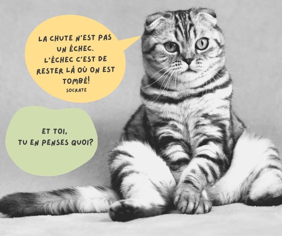 photo seance Anissa BELGHERRI