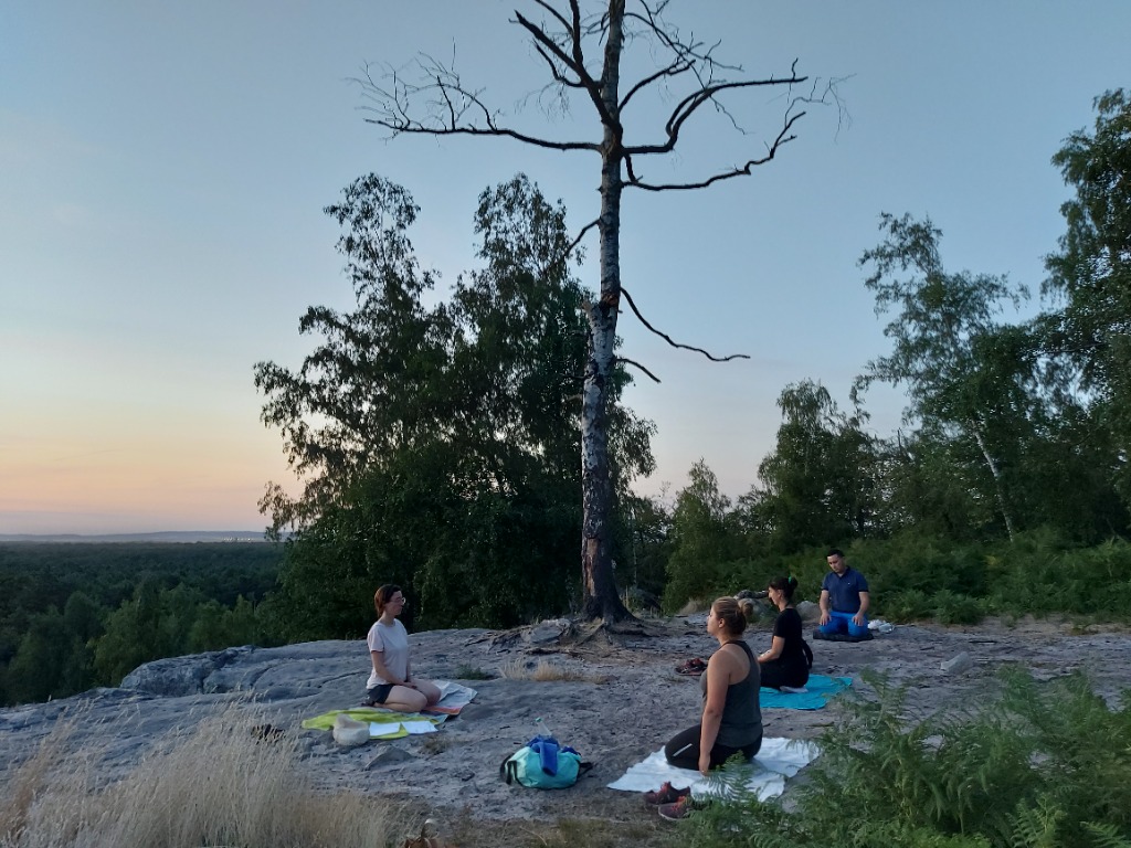 photo activite Florence HAVARD