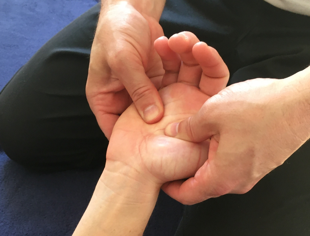 photo activite Régis DANDREU