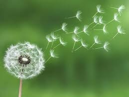 photo portrait Patricia Maurel