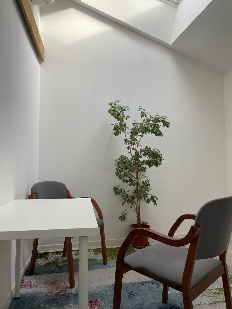 photo cabinet Florence Levayer