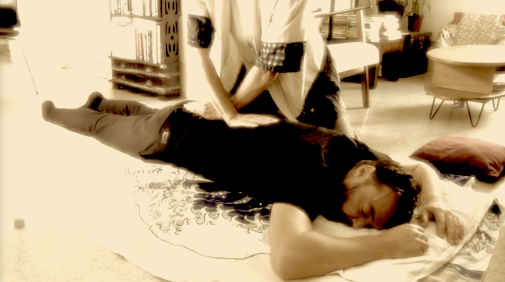 photo seance julien vache