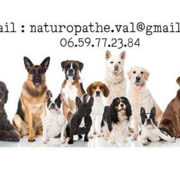 Valérie Fernandez Fargues