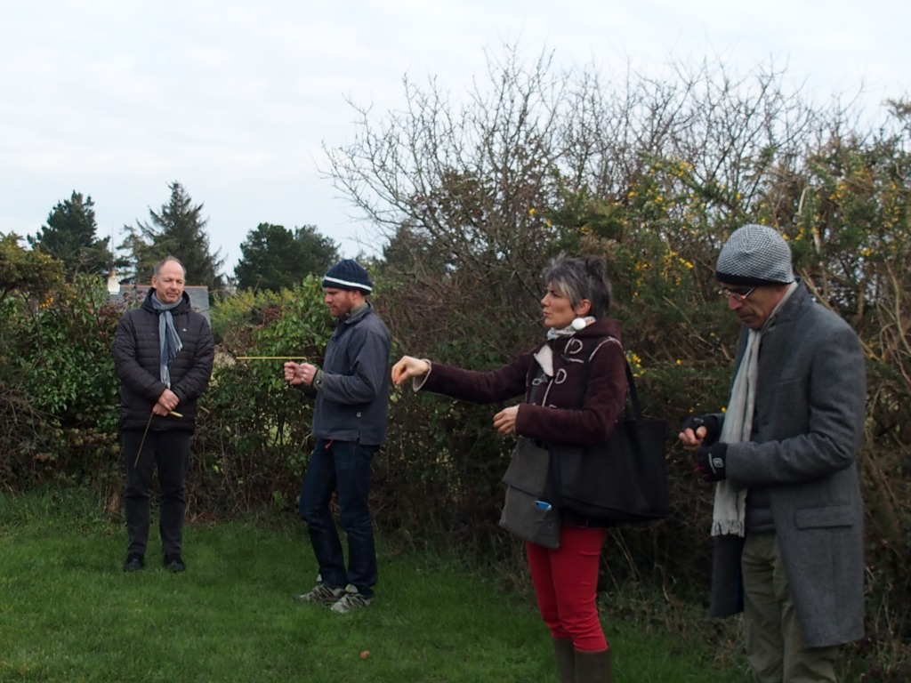 photo activite Nadia Dosbaâ