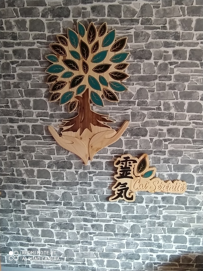 photo cabinet Cat sérénité