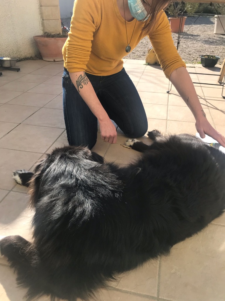 photo activite MOVEREAUM