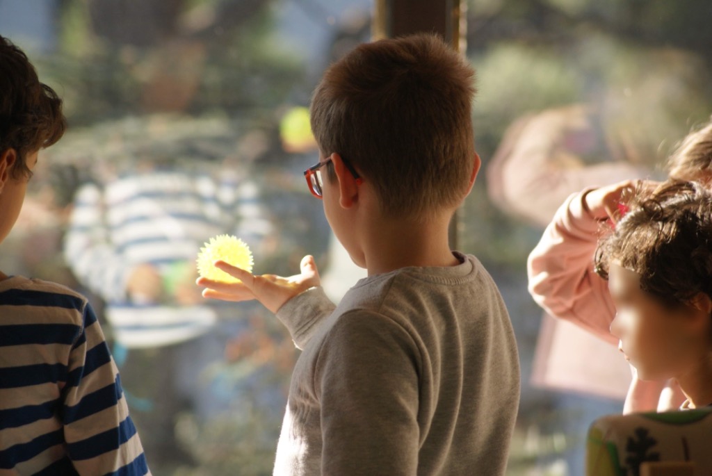 photo activite Marion arnaud