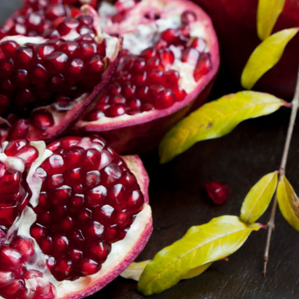 KECHICHIAN LAFFON Marianne