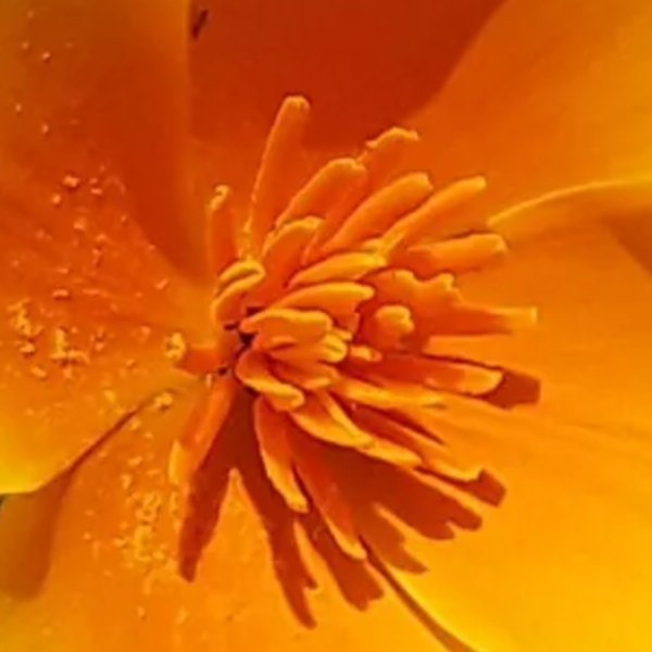 Karmeam - Edwige Porcheyre