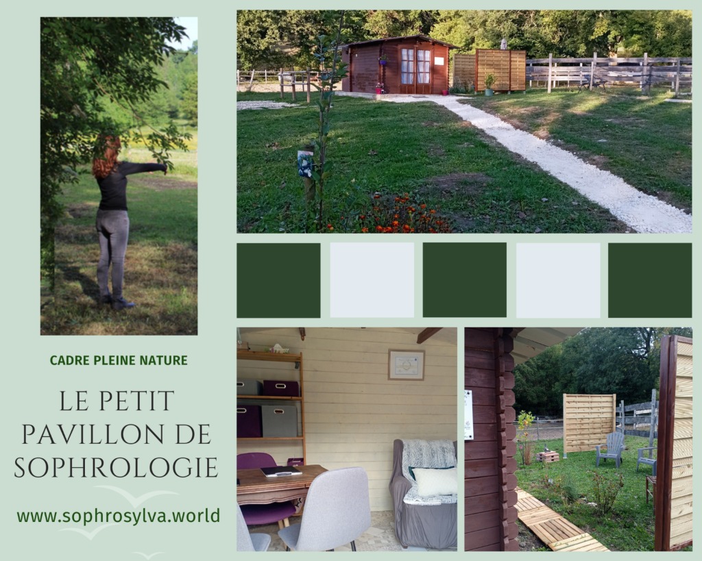 photo cabinet Sylvie Jalladaud