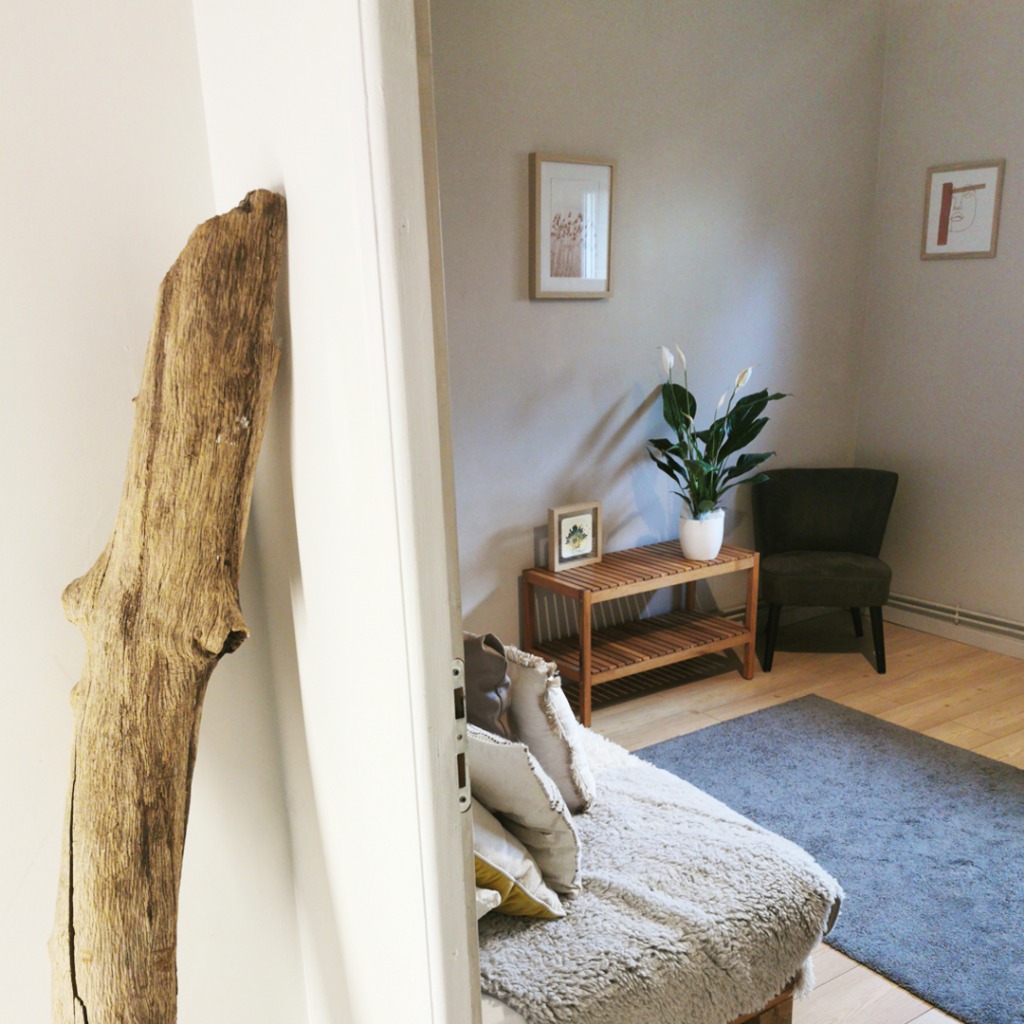 photo seance Pascale Dumont