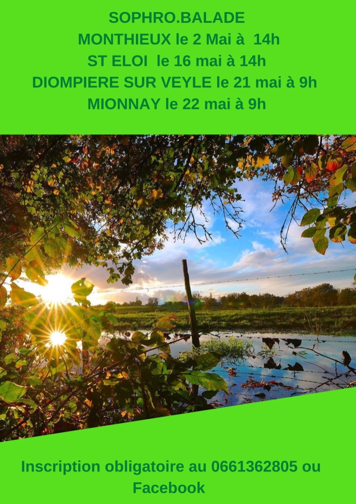 photo activite Happy Life 