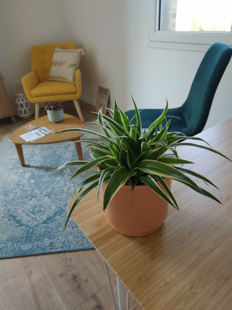 photo cabinet Virginie Bazin