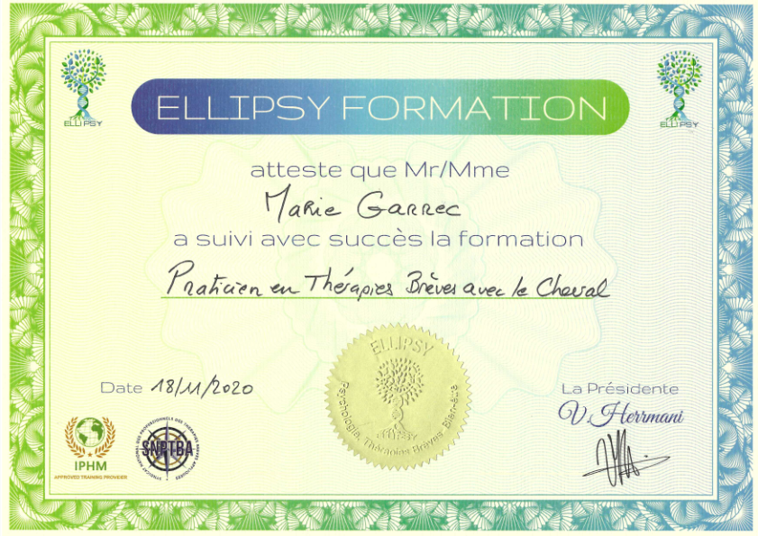 photo diplome MGA Accompagnement