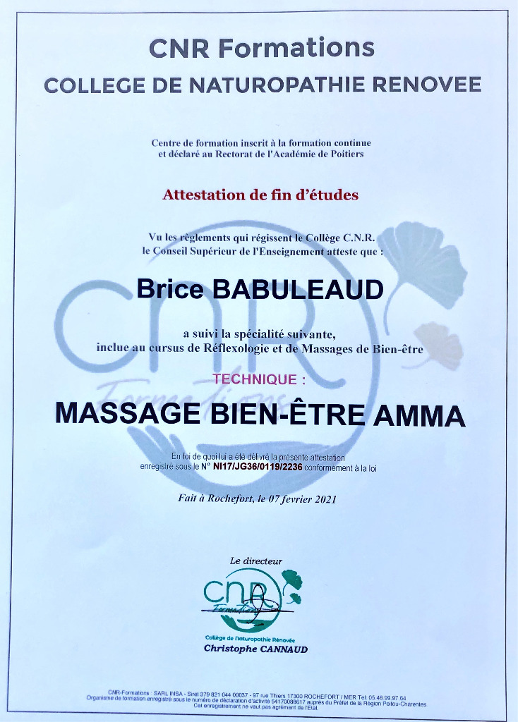 photo diplome Brice Babuleaud (Yumane)