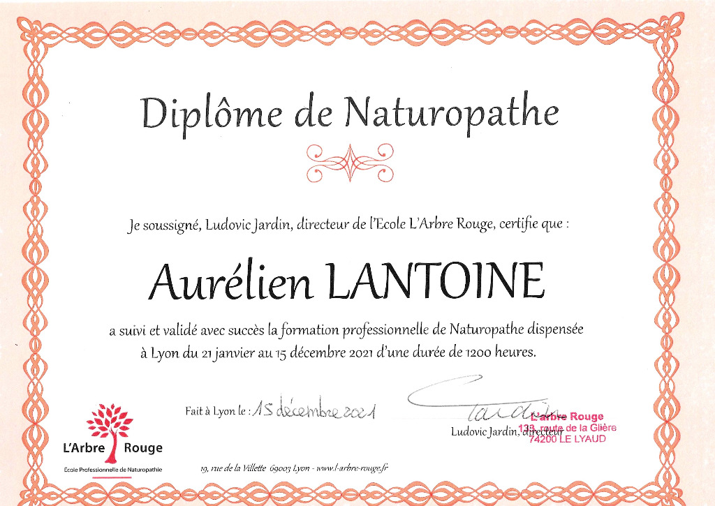 photo diplome Aurélien Lantoine