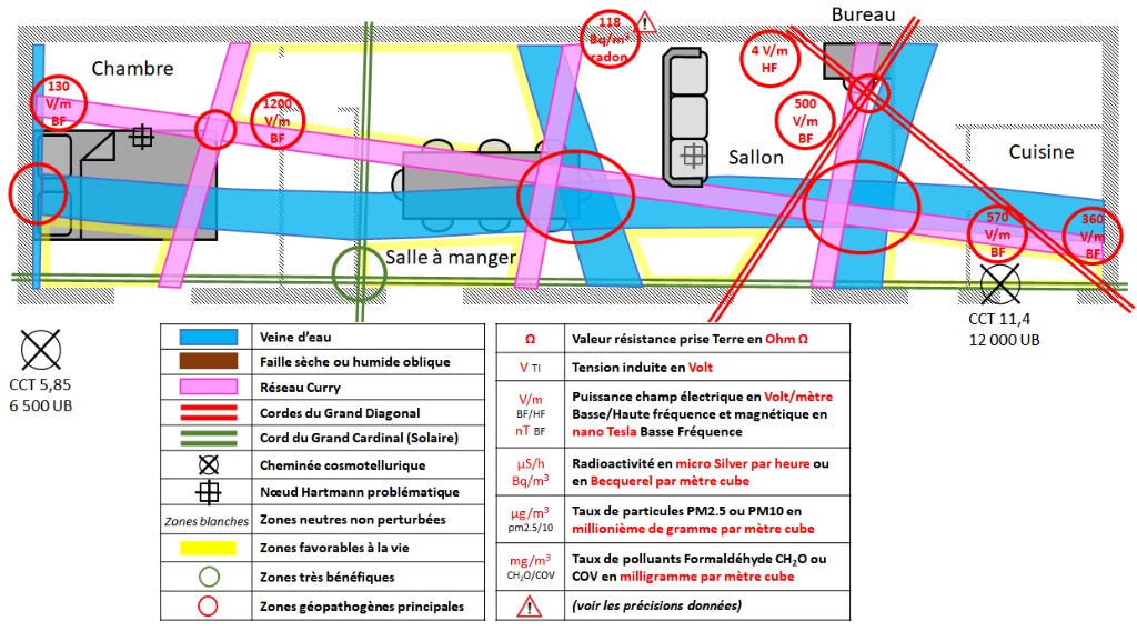 photo activite Basile Fabrice Millet