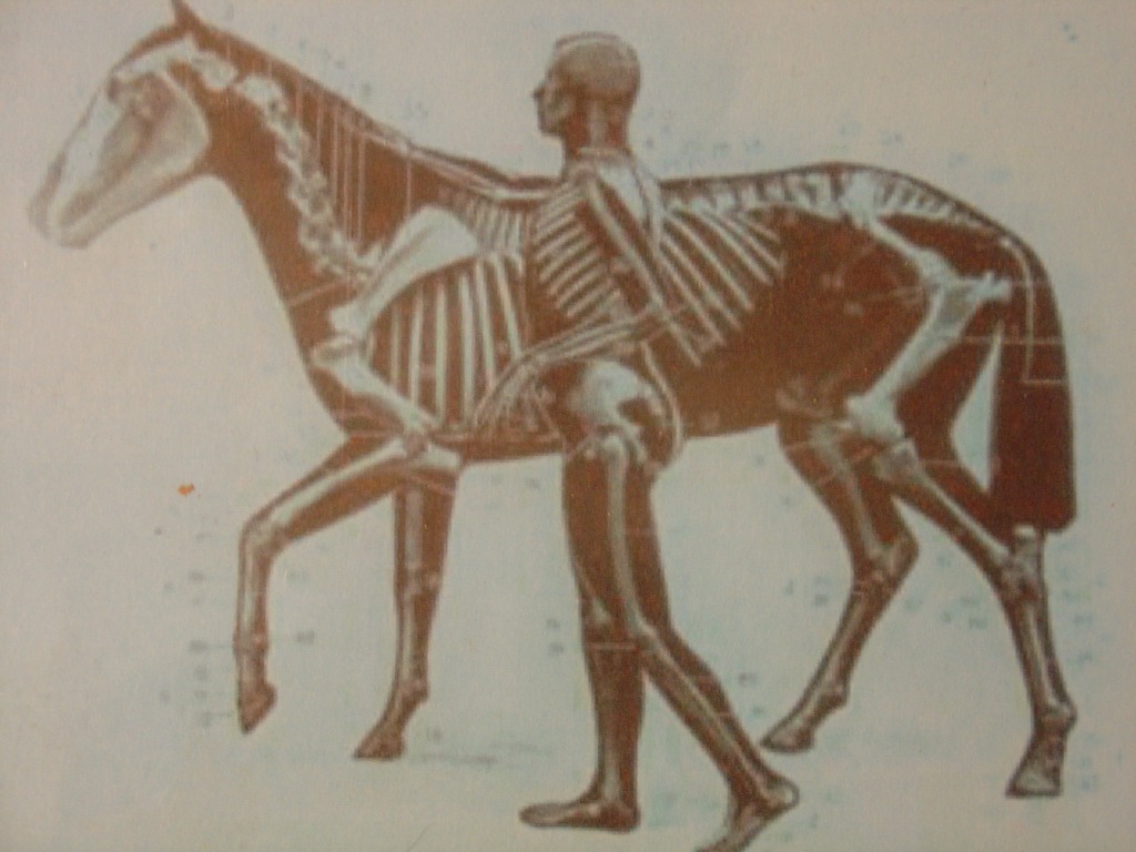 photo activite CHARLES-HERROU Yann