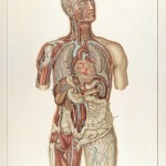 photo portrait CHARLES-HERROU Yann