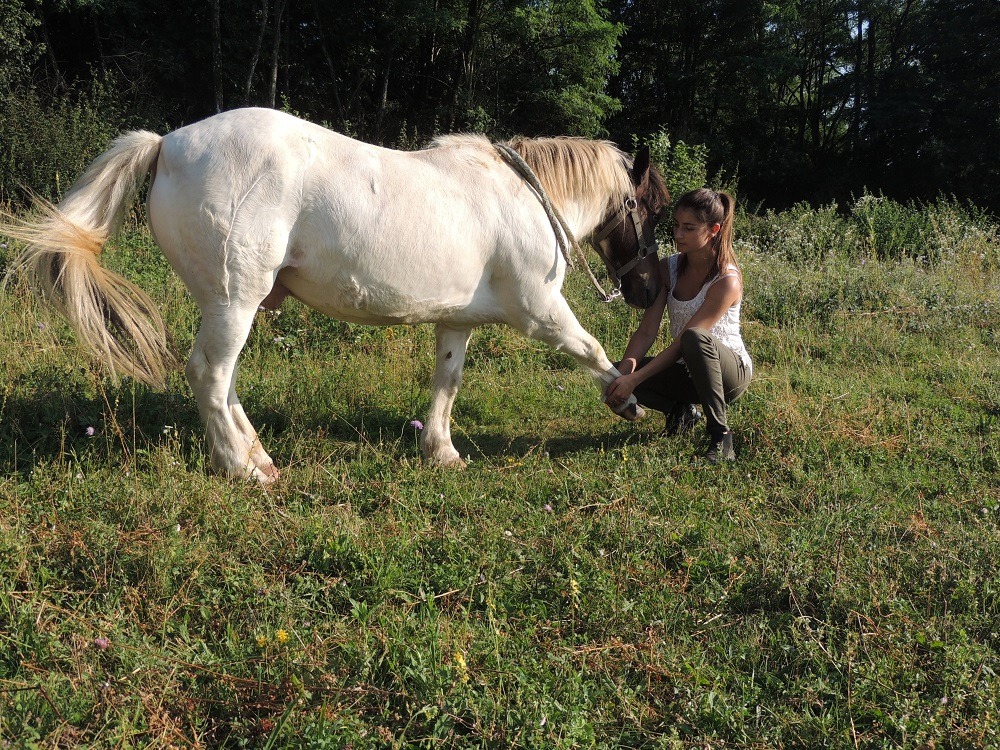 photo activite Alexia Matteo 