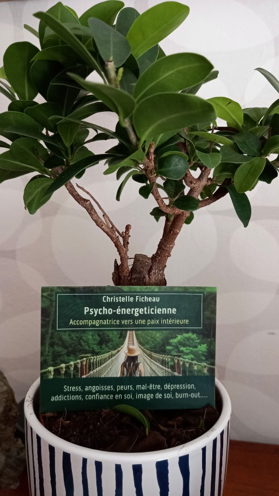 photo activite Souffle deux vies