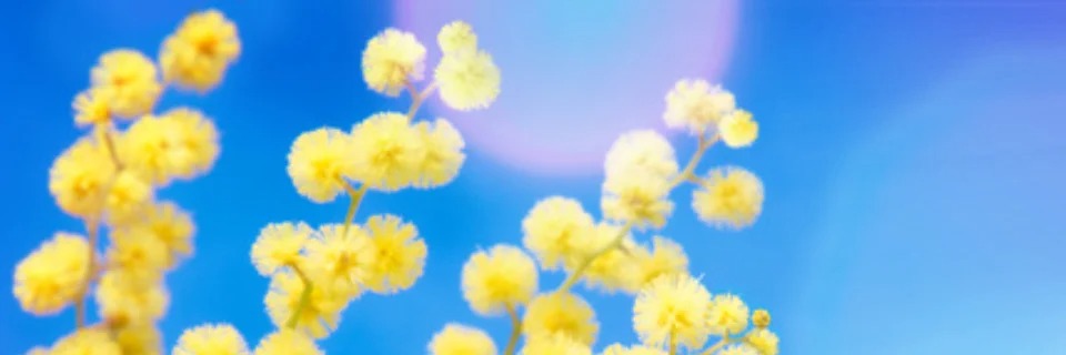 photo portrait Jocelyne MONTOYA